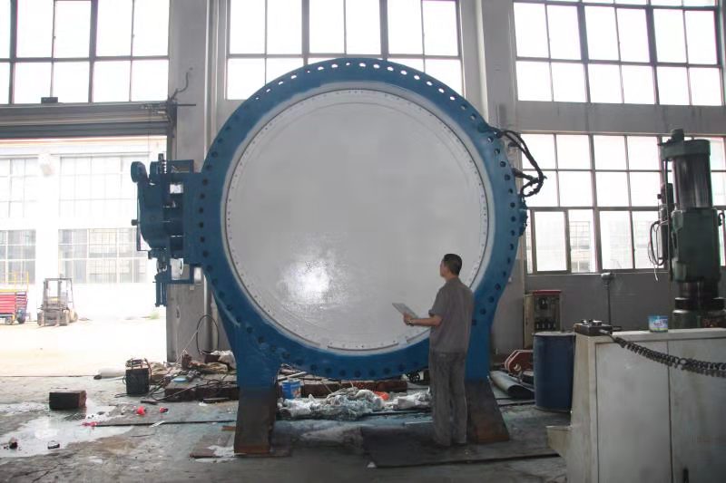 ��ڏ����y